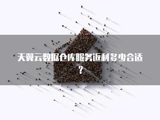 天翼云数据仓库服务返利多少合适？