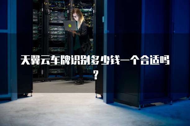 天翼云车牌识别多少钱一个合适吗?