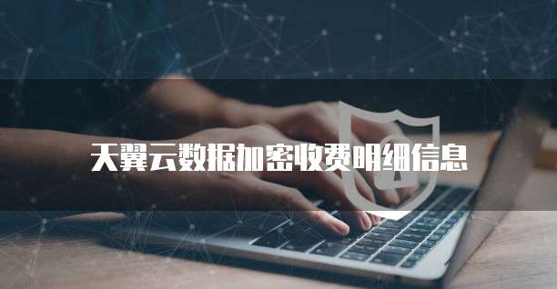 天翼云数据加密收费明细信息