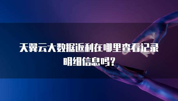 天翼云大数据返利在哪里查看记录明细信息吗?