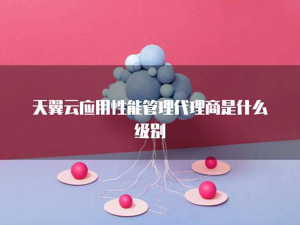 天翼云应用性能管理代理商是什么级别