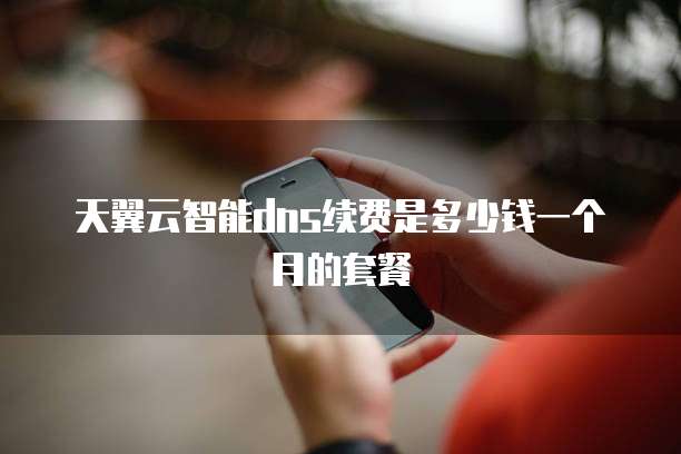 天翼云智能dns续费是多少钱一个月的套餐