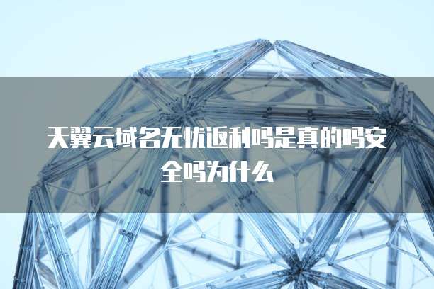 天翼云域名无忧返利吗是真的吗安全吗为什么