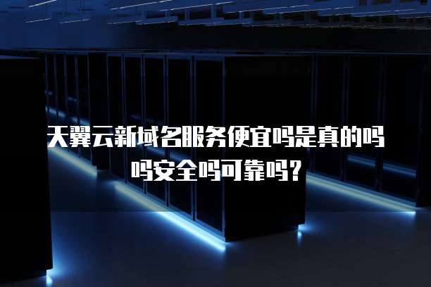天翼云新域名服务便宜吗是真的吗吗安全吗可靠吗?