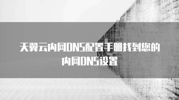 天翼云内网DNS配置手册找到您的内网DNS设置