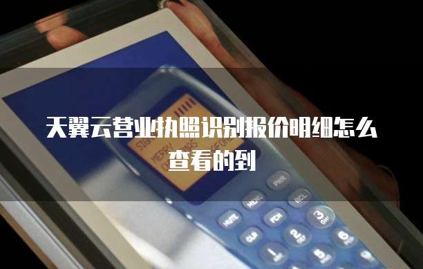 天翼云营业执照识别报价明细怎么查看的到