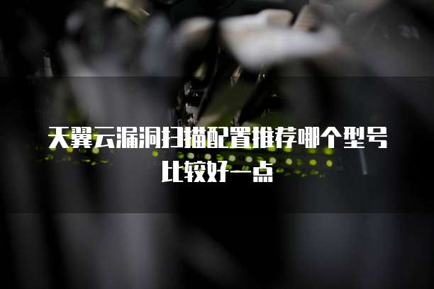 天翼云漏洞扫描配置推荐哪个型号比较好一点