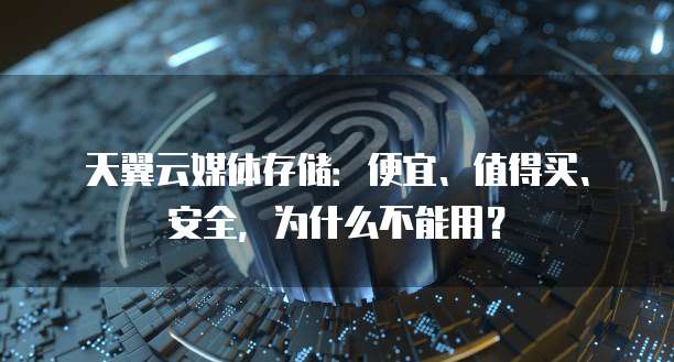 天翼云媒体存储:便宜、值得买、安全,为什么不能用?