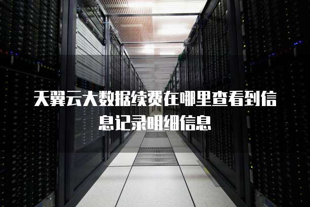 天翼云大数据续费在哪里查看到信息记录明细信息