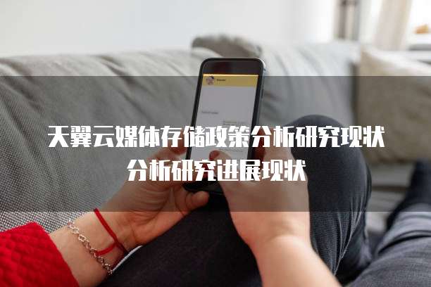 天翼云媒体存储政策分析研究现状分析研究进展现状