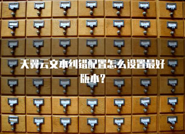 天翼云文本纠错配置怎么设置最好版本?