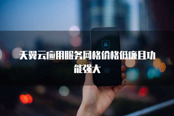 天翼云应用服务网格价格低廉且功能强大