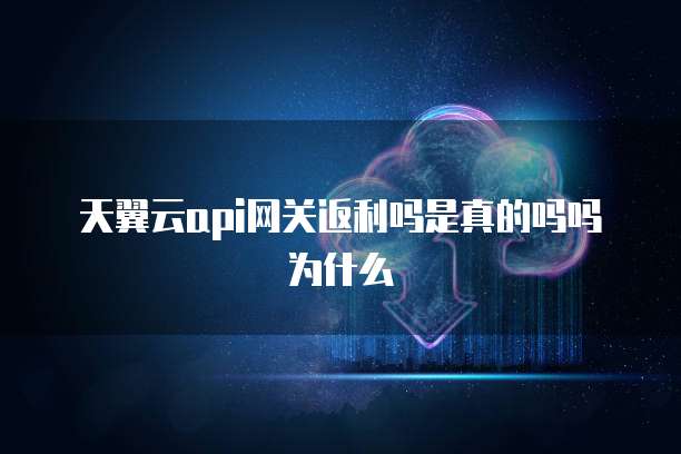 天翼云api网关返利吗是真的吗吗为什么
