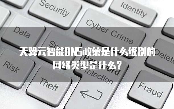 天翼云智能DNS政策是什么级别的网络类型是什么?