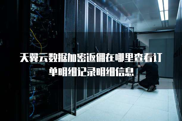 天翼云数据加密返佣在哪里查看订单明细记录明细信息