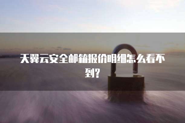 天翼云安全邮箱报价明细怎么看不到?