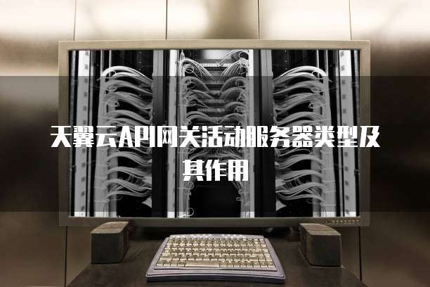天翼云API网关活动服务器类型及其作用