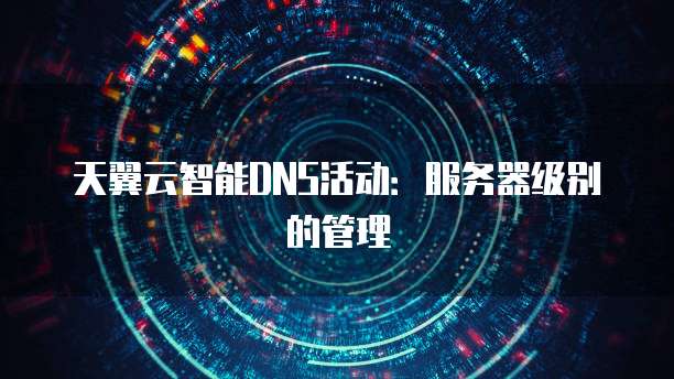天翼云智能DNS活动:服务器级别的管理