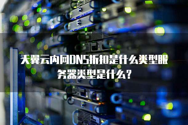 天翼云内网DNS折扣是什么类型服务器类型是什么?