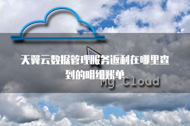 天翼云数据管理服务返利在哪里查到的明细账单