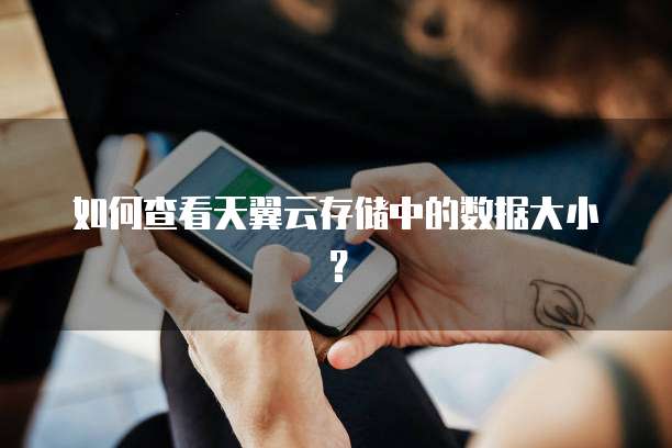 如何查看天翼云存储中的数据大小?