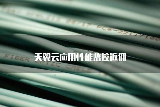 天翼云应用性能监控返佣