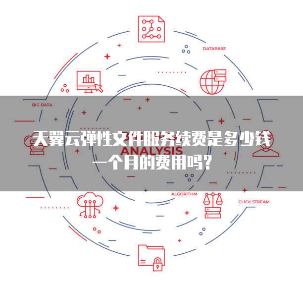 天翼云弹性文件服务续费是多少钱一个月的费用吗？