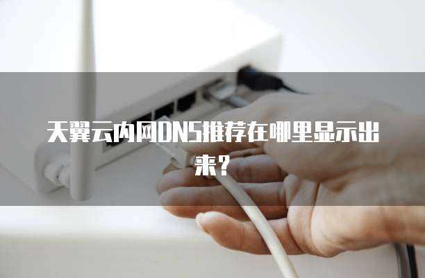 天翼云内网DNS推荐在哪里显示出来?