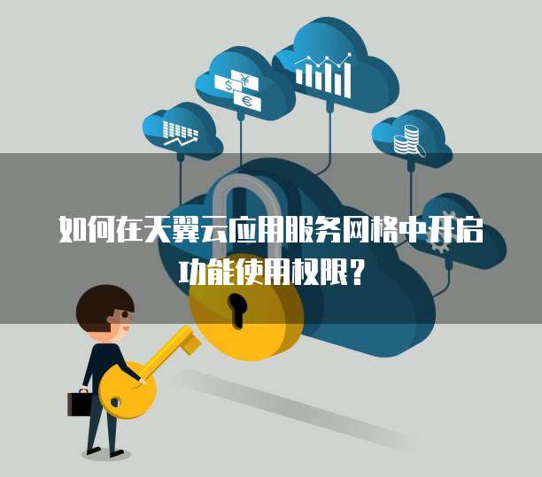 如何在天翼云应用服务网格中开启功能使用权限?