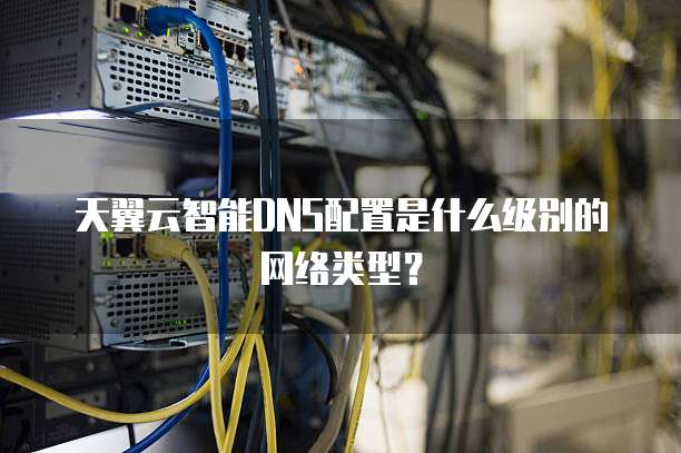 天翼云智能DNS配置是什么级别的网络类型?