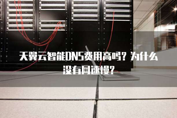天翼云智能DNS费用高吗?为什么没有网速慢?