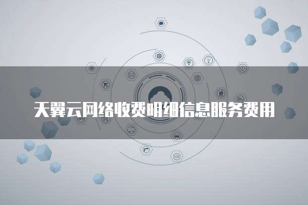 天翼云网络收费明细信息服务费用
