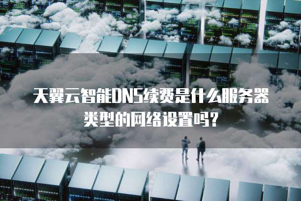 天翼云智能DNS续费是什么服务器类型的网络设置吗？