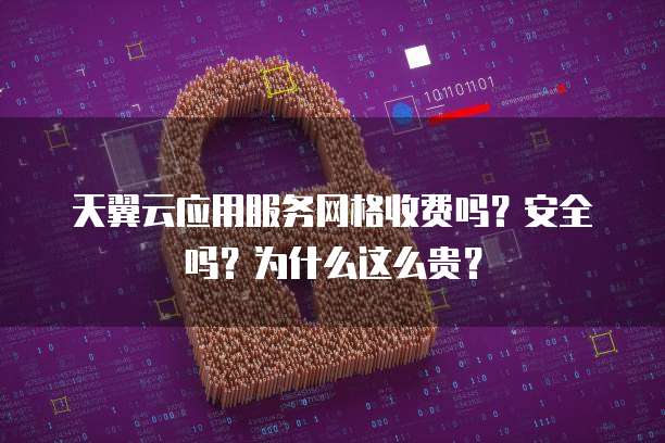 天翼云应用服务网格收费吗？安全吗？为什么这么贵？