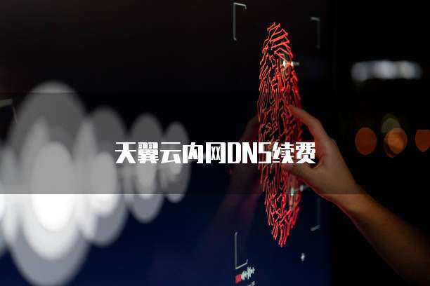天翼云内网DNS续费