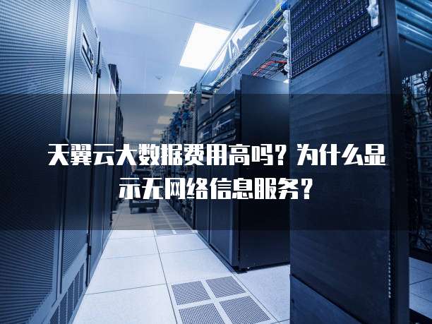 天翼云大数据费用高吗?为什么显示无网络信息服务?