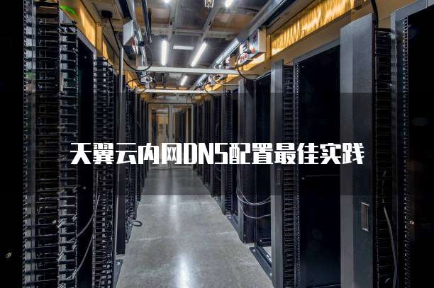 天翼云内网DNS配置最佳实践