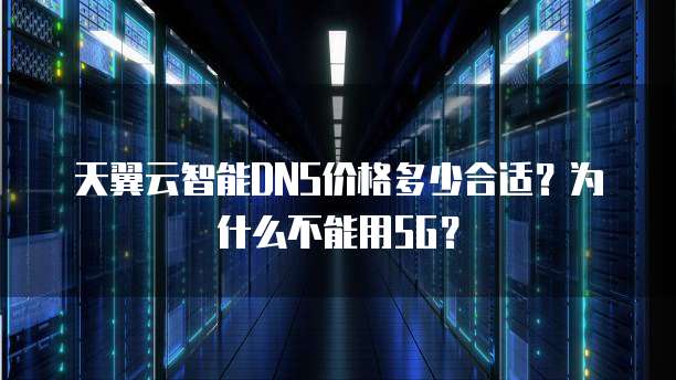 天翼云智能DNS价格多少合适？为什么不能用5G？