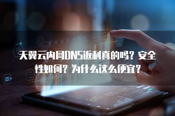 天翼云内网DNS返利真的吗?安全性如何?为什么这么便宜?