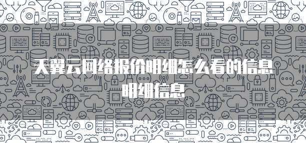 天翼云网络报价明细怎么看的信息明细信息