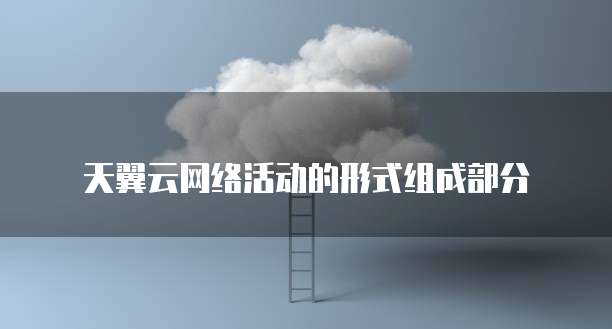 天翼云网络活动的形式组成部分