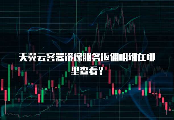 天翼云容器镜像服务返佣明细在哪里查看?