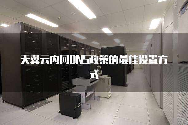 天翼云内网DNS政策的最佳设置方式