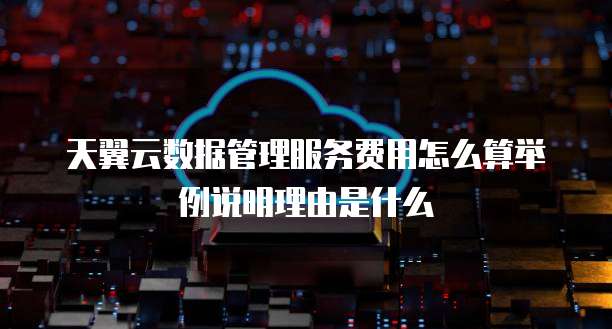 天翼云数据管理服务费用怎么算举例说明理由是什么