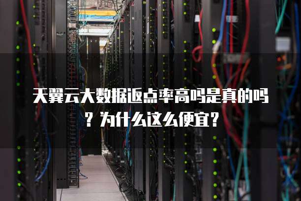 天翼云大数据返点率高吗是真的吗?为什么这么便宜?