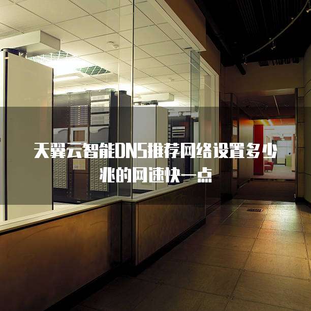 天翼云智能DNS推荐网络设置多少兆的网速快一点