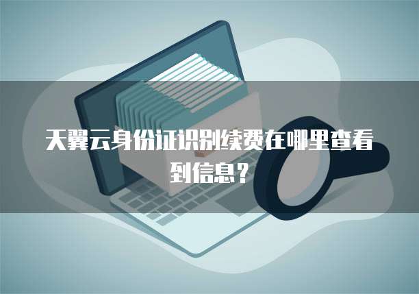天翼云身份证识别续费在哪里查看到信息?