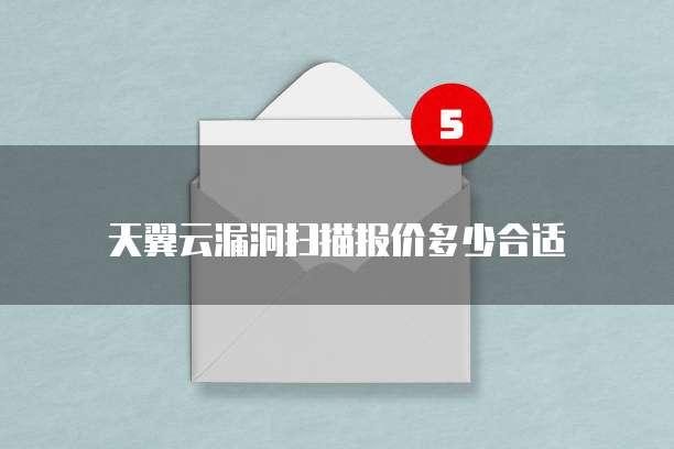 天翼云漏洞扫描报价多少合适