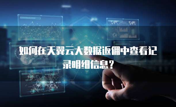 如何在天翼云大数据返佣中查看记录明细信息?