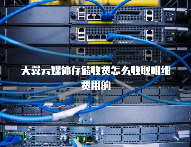 天翼云媒体存储收费怎么收取明细费用的